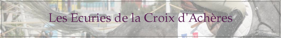 Les Ecuries de la Croix d'Achères